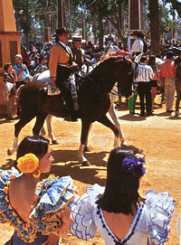 Jerez